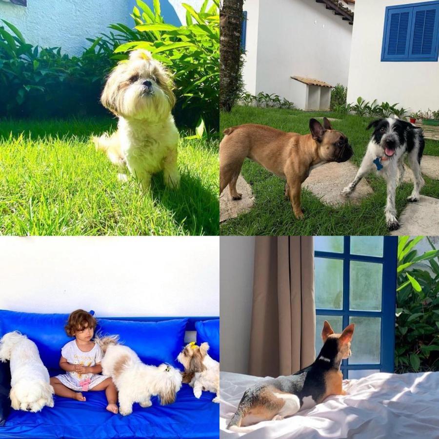 Suites Curta Paraty, Familia E Pets エクステリア 写真